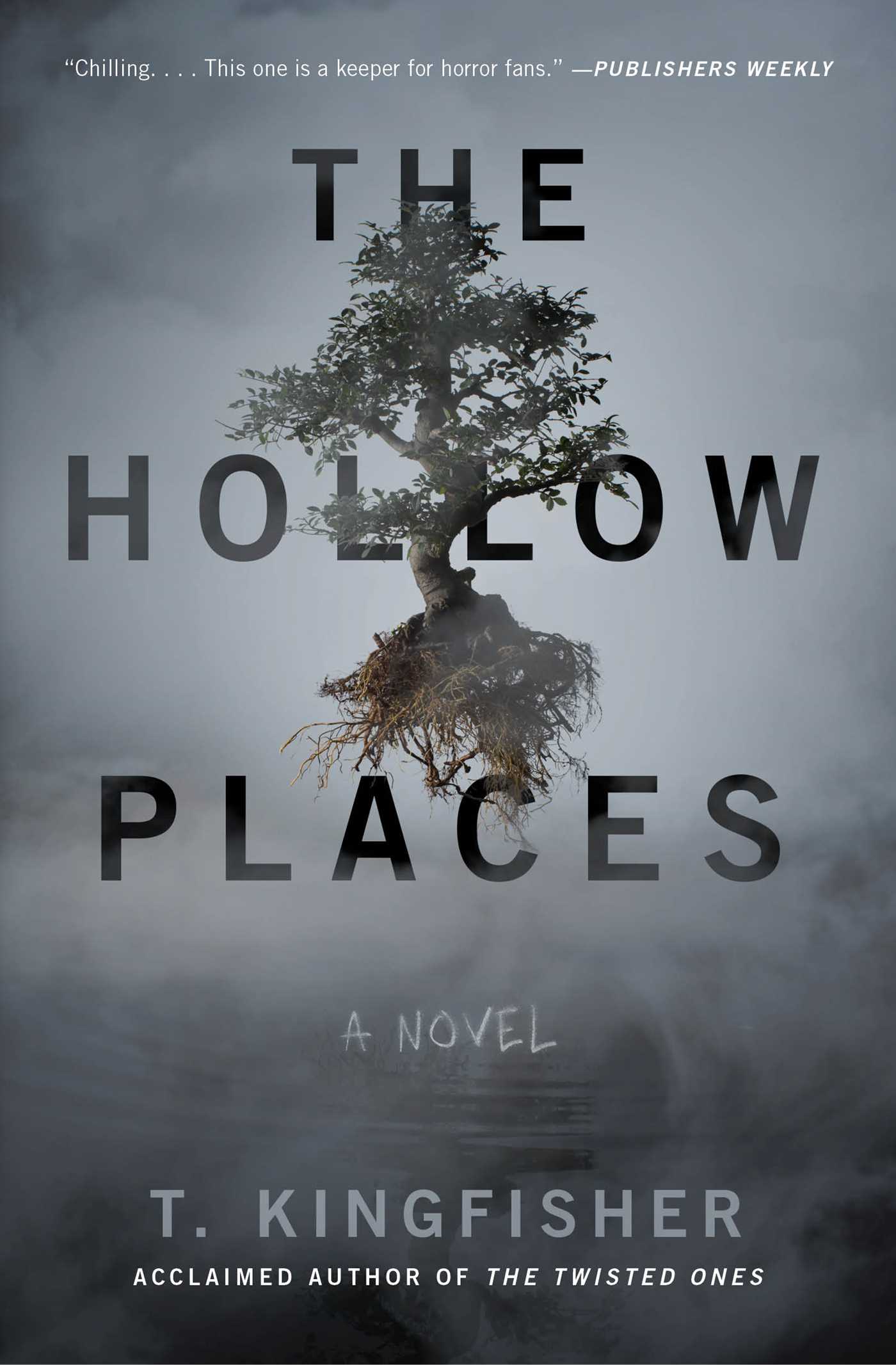 T. Kingfisher: The Hollow Places (AudiobookFormat, 2020, Simon Schuster Audio)